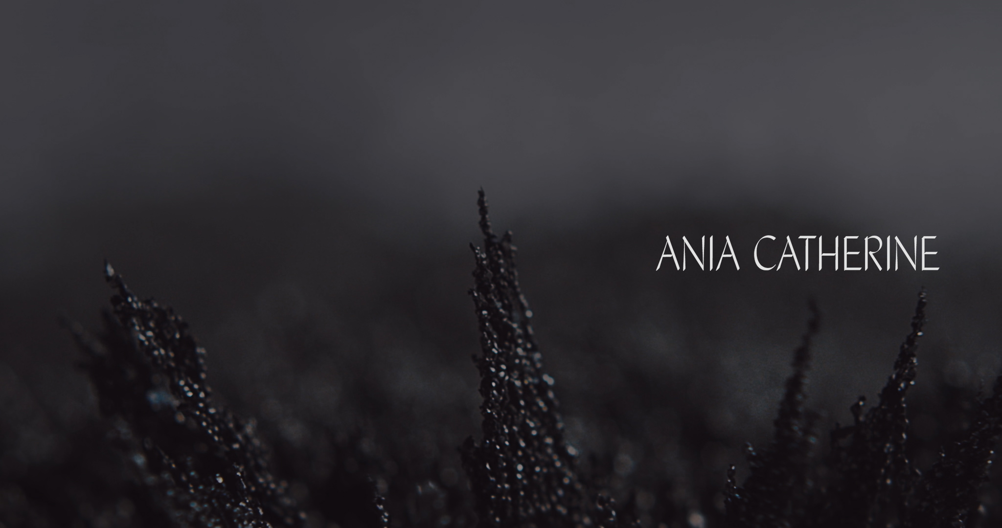 Masce - Hexentanz Experimental and Fashion Film - Iron Filings Ania Catherine