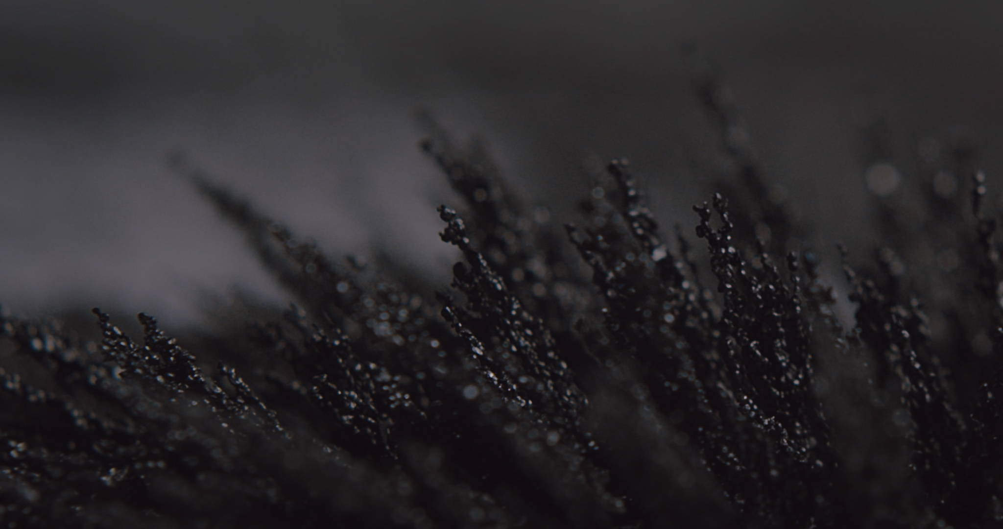Masce - Hexentanz Experimental and Fashion Film - Iron Filings