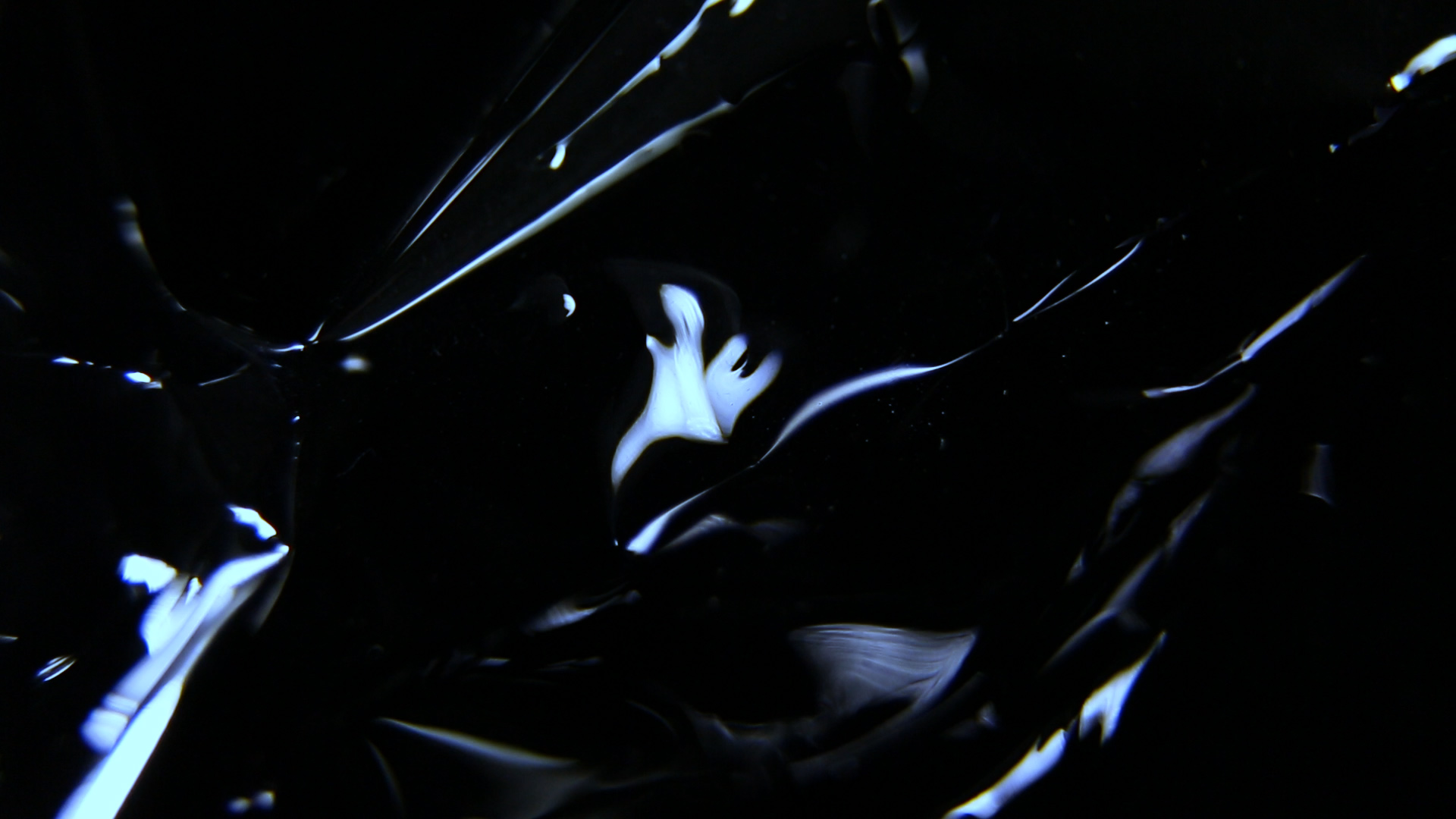 Dejha Ti X Rick Feds - Visuals for music - Still 3